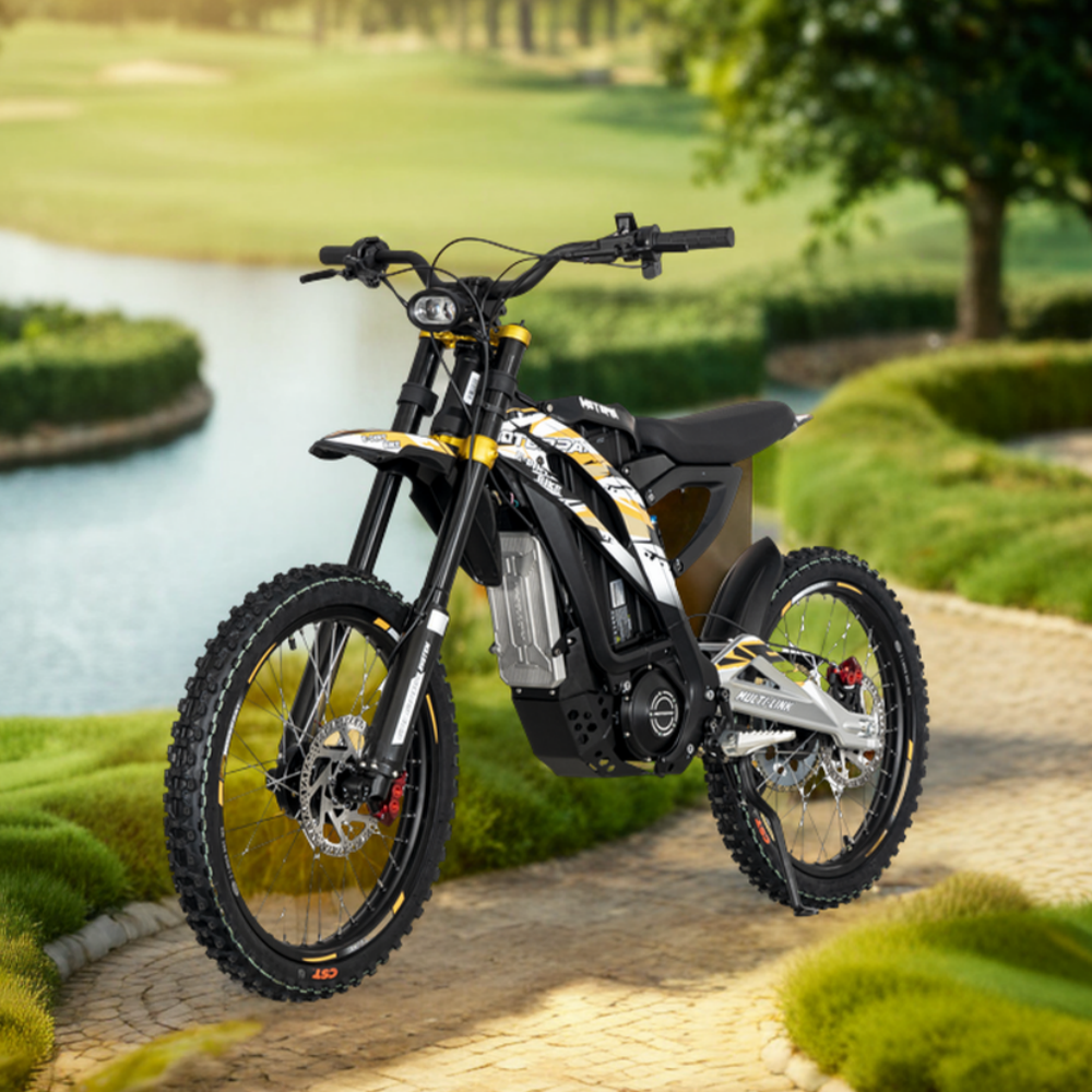 2024 NEW 60V 40AH Light Bee X LBX Off Road 6KW 60V 6000 Watts Powerful Electric Dirt Bike For Adults