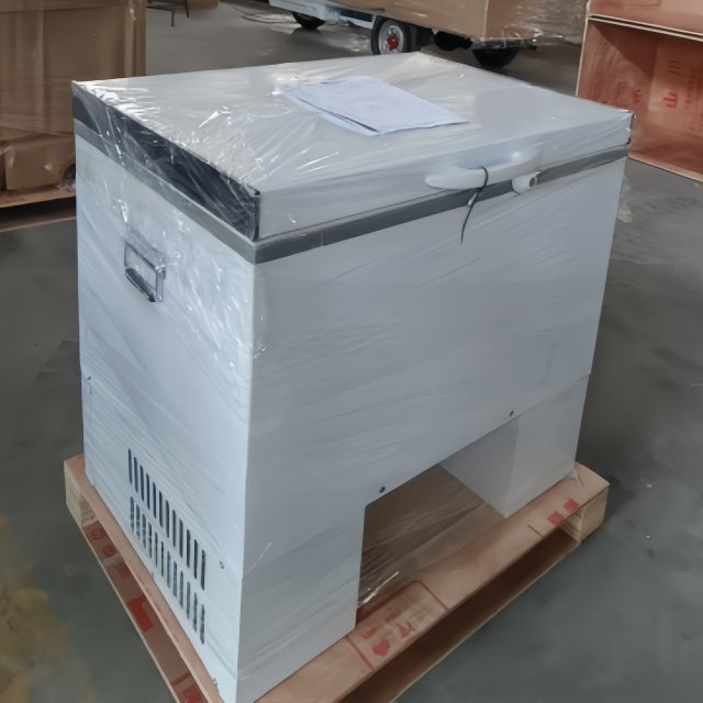 Mini DC24V 128L Popsicle Refrigerator Box Easy-to-Operate New Compressor Home Retail Restaurant Motorcycle Panel Cold Storage