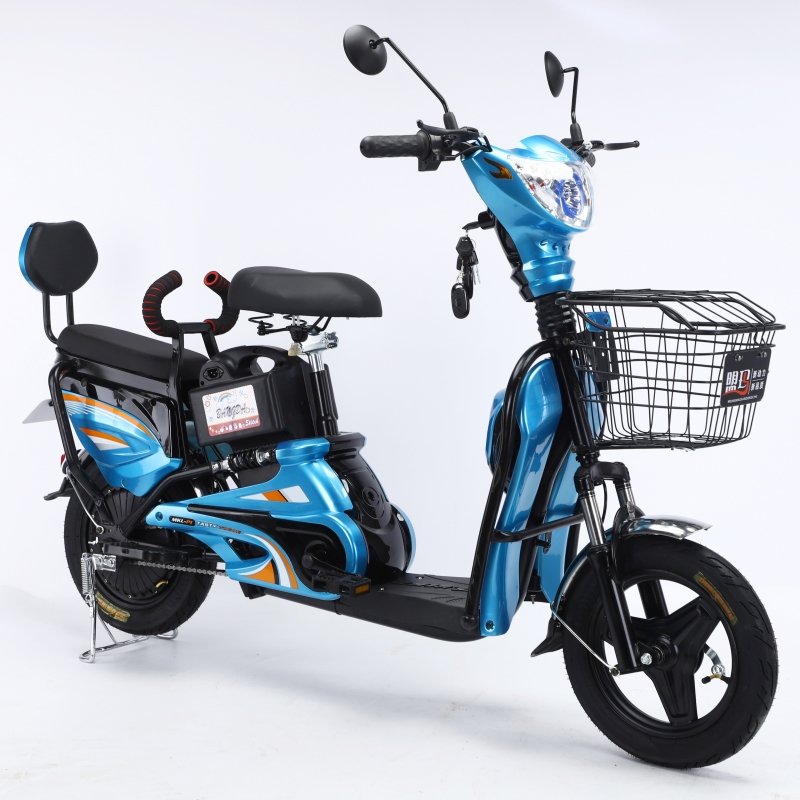 China Manufacturer Lithium Or Lead Battery Battery Bicycle Electric Bike