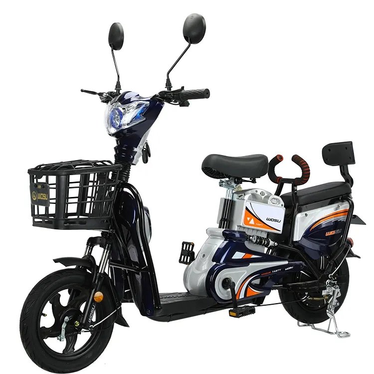 China Manufacturer Lithium Or Lead Battery Battery Bicycle Electric Bike