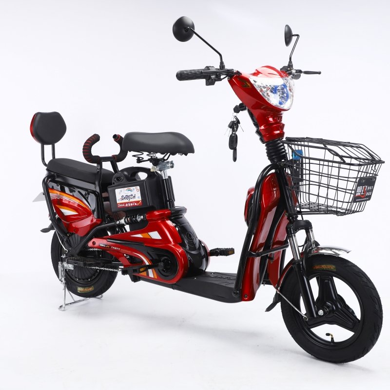 China Manufacturer Lithium Or Lead Battery Battery Bicycle Electric Bike