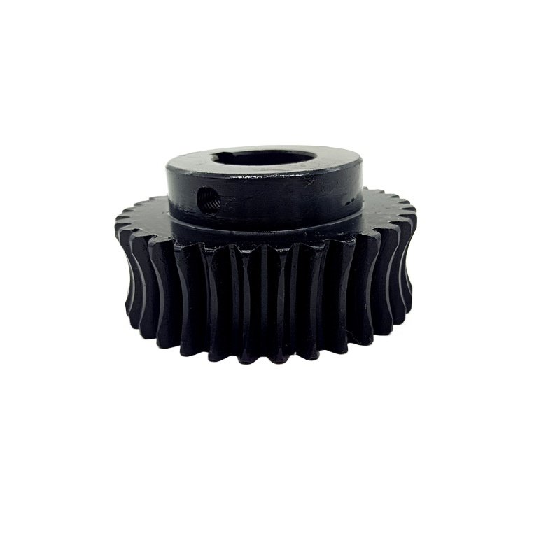 Small Stainless Steel Spur Gear for Automobiles New Transmission System Machine with Worm Pattern