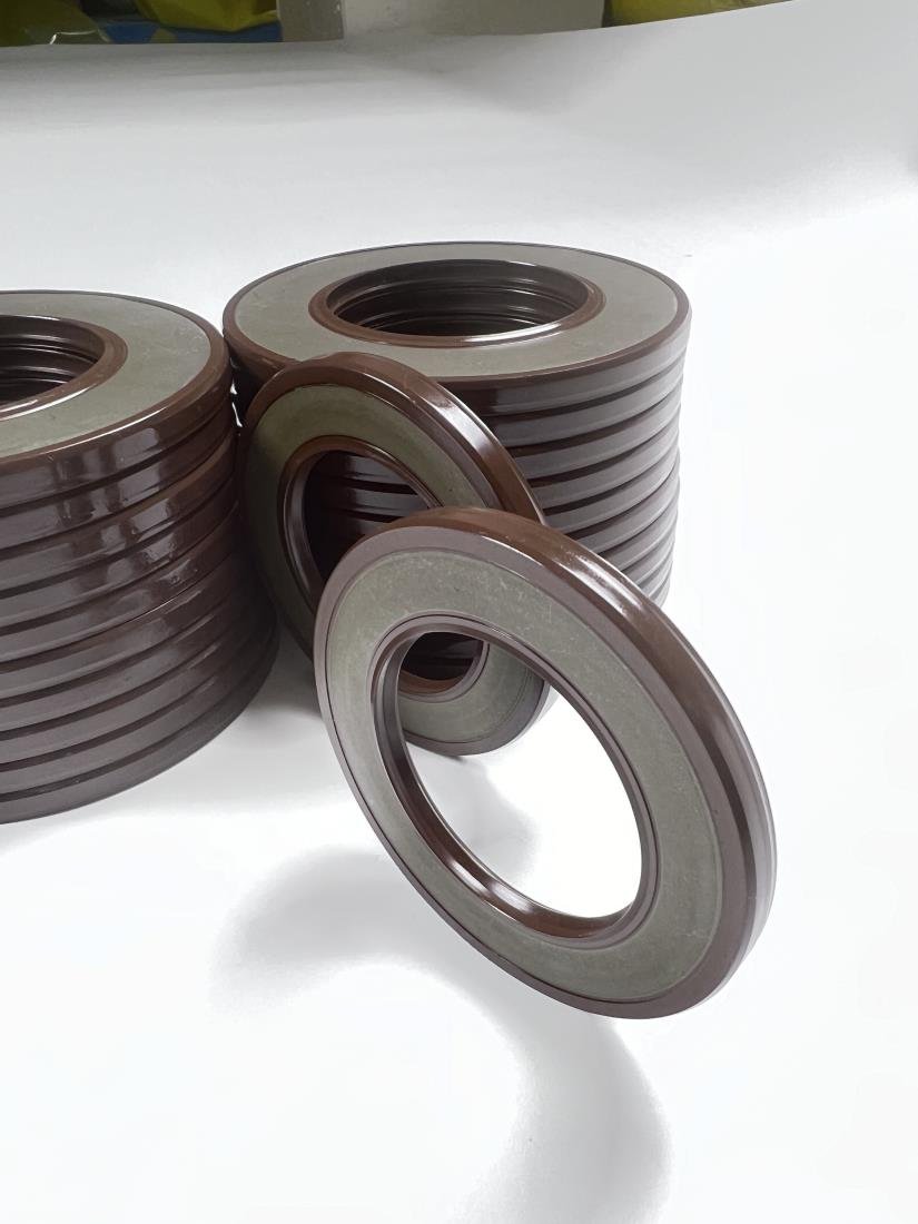 China Supplier Customize18*30*6/ 19*30*6/ 19*35*6 Industry origin goods source fluorine rubber skeleton oil seal