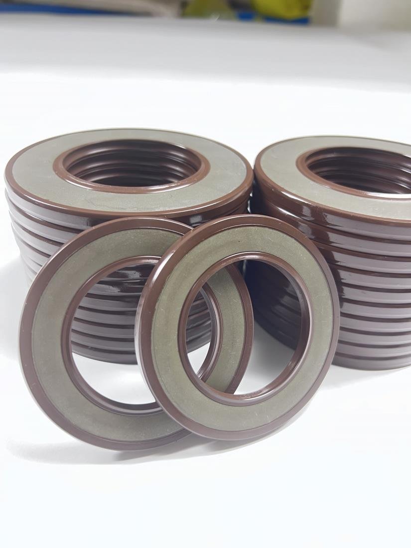 China Supplier Customize18*30*6/ 19*30*6/ 19*35*6 Industry origin goods source fluorine rubber skeleton oil seal