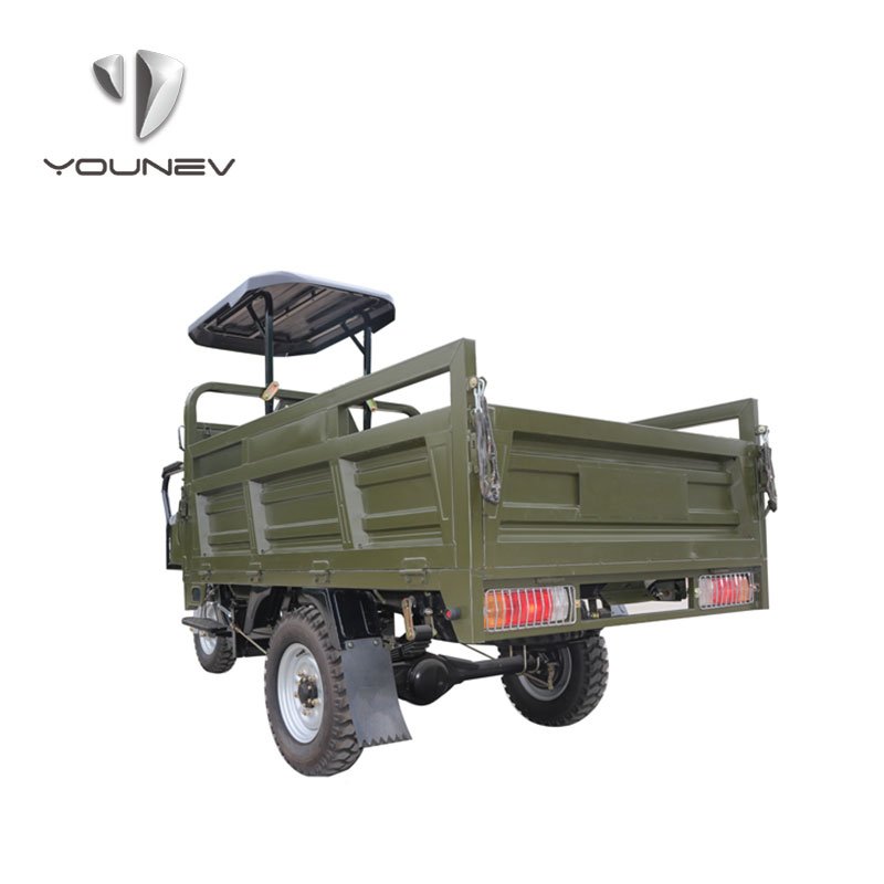 New Style 200cc Family Used Gasoline Motorized Tricycle Big Cargo Tricycle Motorized Tricycles Motorcycle with Roof