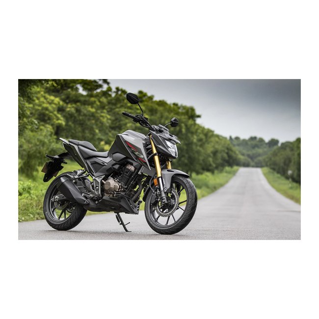Durable classic two wheel bike CB300 with 14.1L fuel tank capacity motorcycle on Wholesale price