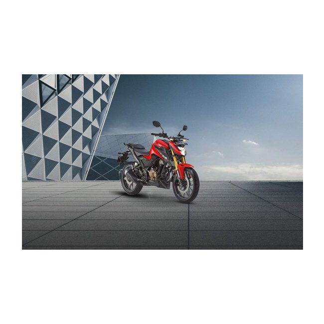 Durable classic two wheel bike CB300 with 14.1L fuel tank capacity motorcycle on Wholesale price