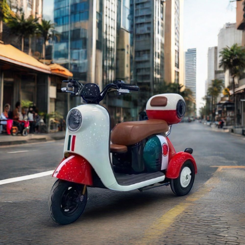 Electric Tricycle 3 Wheel with 300-8 Tubeless Tires, 48V Voltage, and 200-300kg Capacity