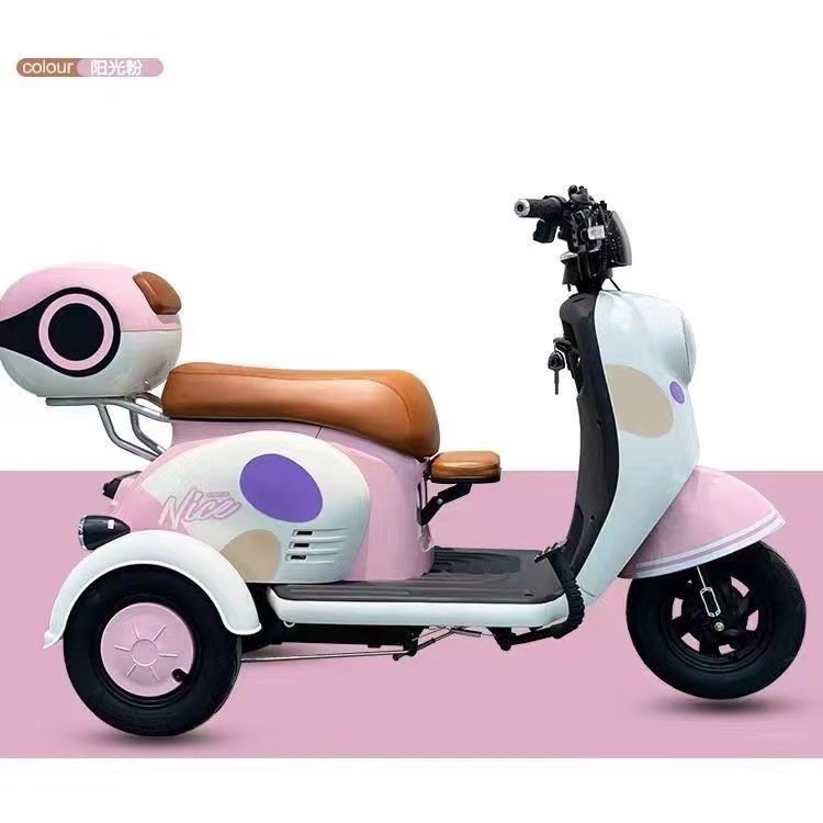 Electric Tricycle 3 Wheel with 300-8 Tubeless Tires, 48V Voltage, and 200-300kg Capacity