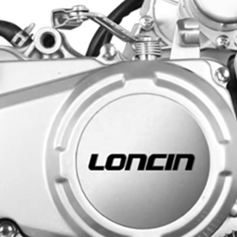EDR Loncin motorcycle engine assembly crf110 pit bike engine 110cc