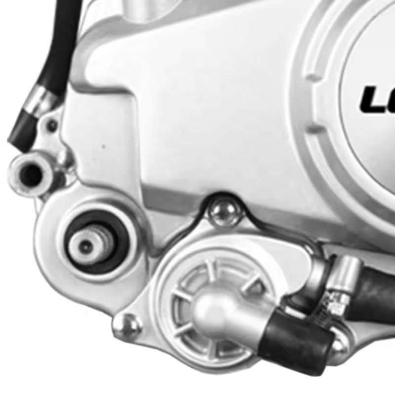 EDR Loncin motorcycle engine assembly crf110 pit bike engine 110cc