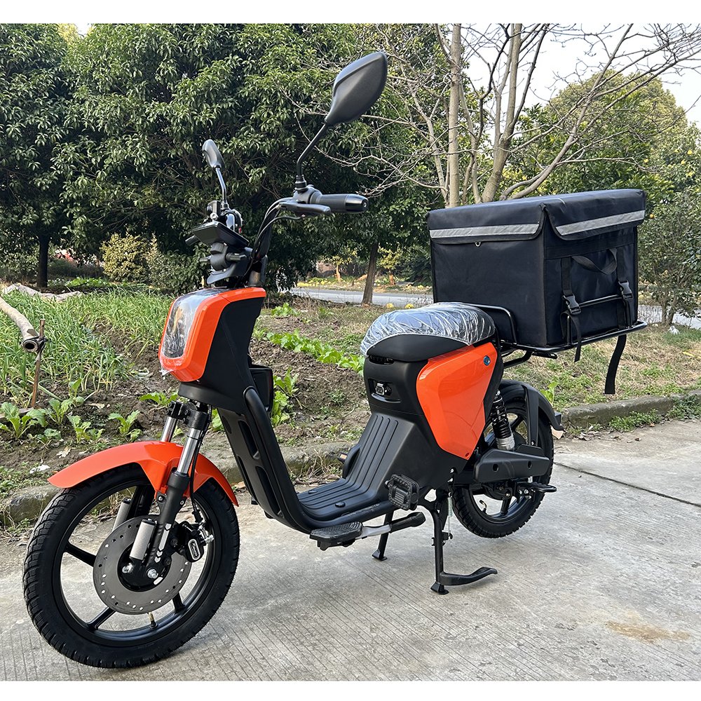 EEC certification EU scooters 48V 800w motor 31AH lithium battery electric scooter electric motorcycle with pedals
