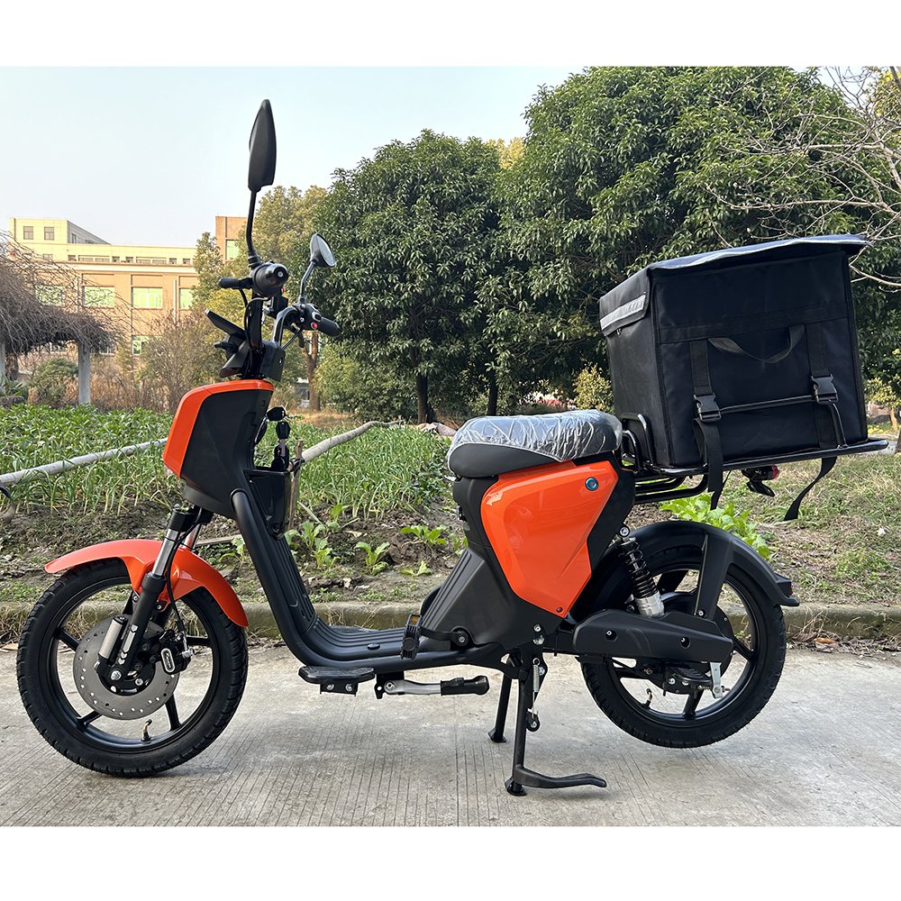 EEC certification EU scooters 48V 800w motor 31AH lithium battery electric scooter electric motorcycle with pedals