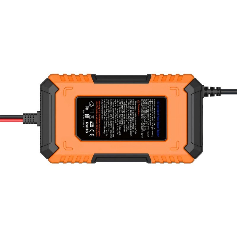 Latest products in 2024 RJ-C120801A 12v8A lead-acid battery charger/LiFePO4