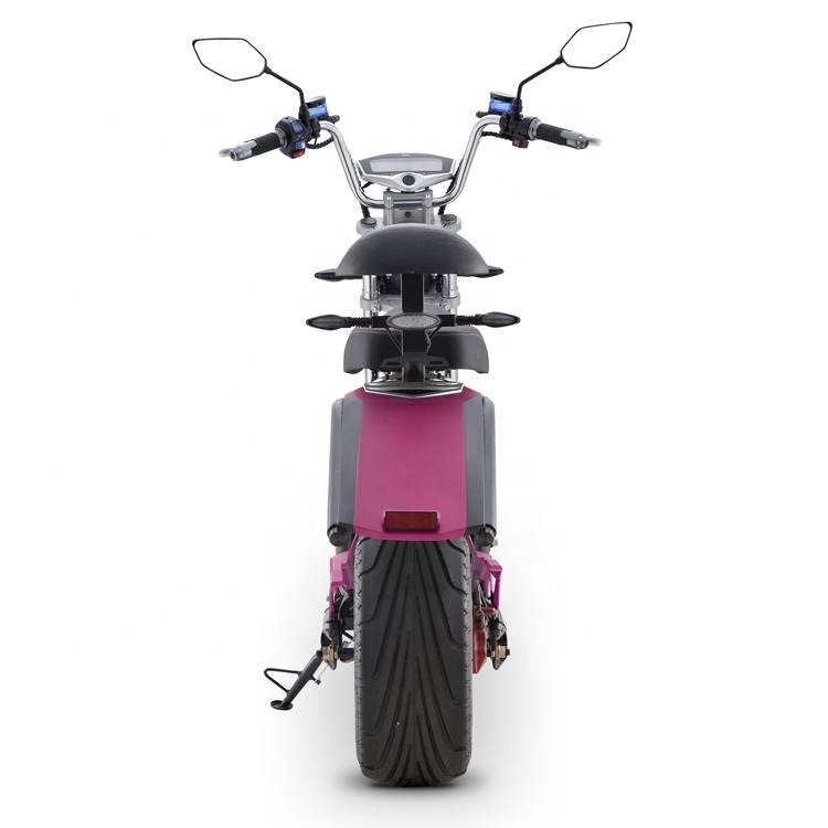 Rooder fat tire 2 wheel 1500w adult citycoco electric motorcycle