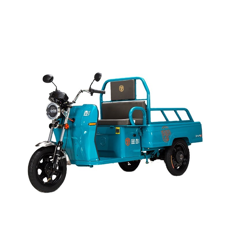 60V 800W Stainless Steel Electric Tricycle for Adults Open Cargo Design with Lead Acid Battery Power Three-Wheeled Passenger Use