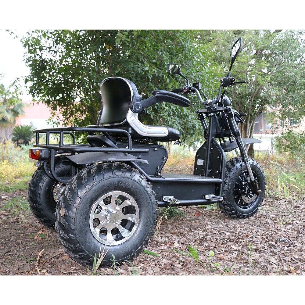 EEC certification 60V electric 3 wheels motorcycle high power scooter for family 1200w motor motorcycles