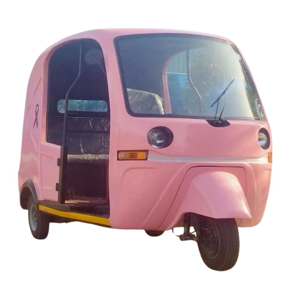 Teer passenger electric auto for export markets