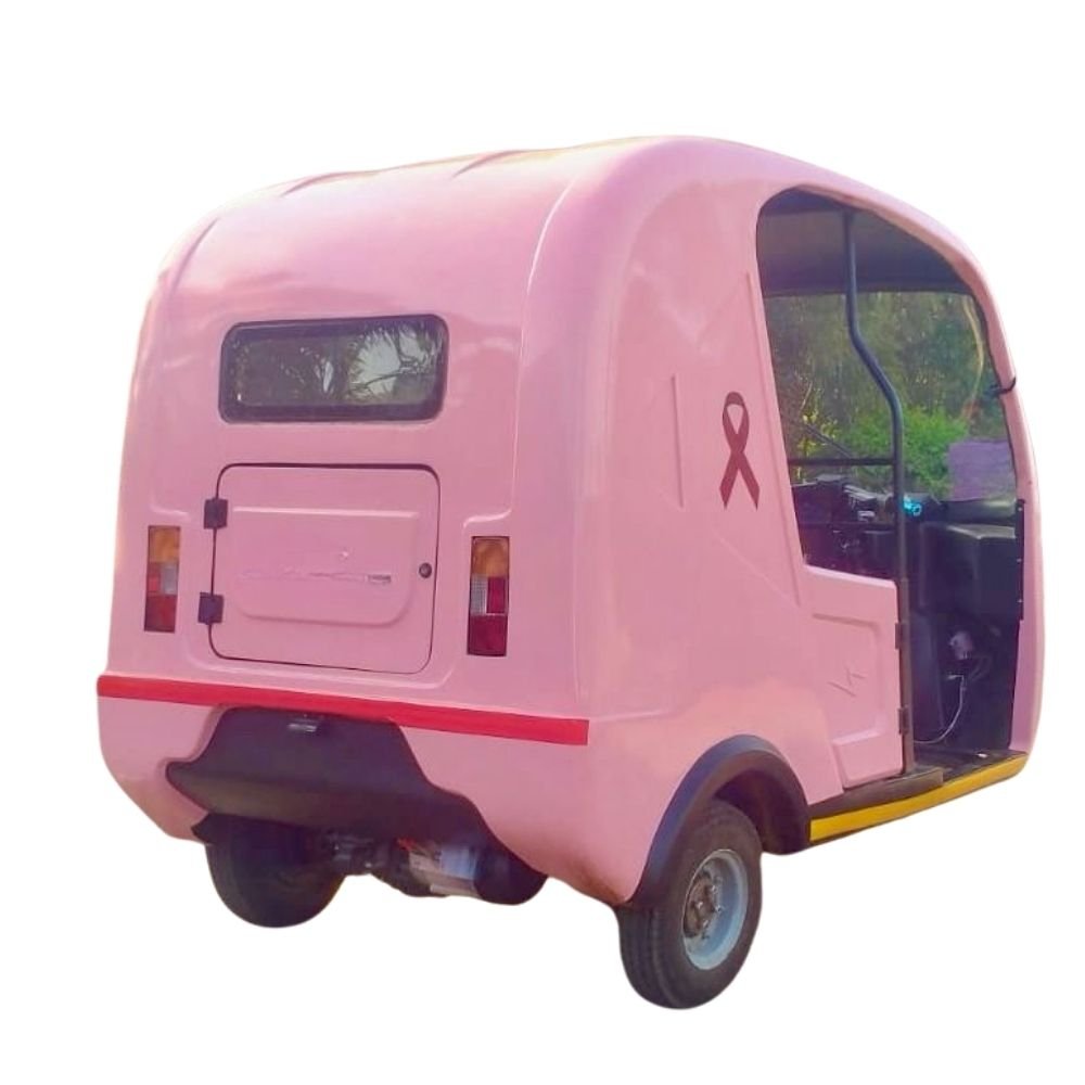Teer passenger electric auto for export markets