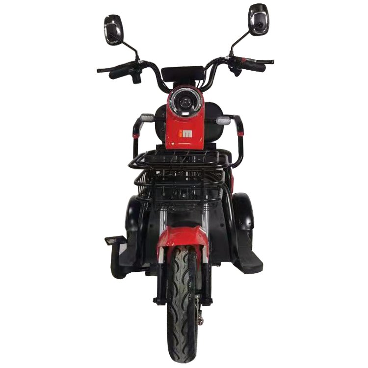 Electric Adult Tricycle Fatbike from China Ebike Max Motorcycle Custom Magnet Body Steel MOTOR Power Bicycle Wheel Brake Cargo