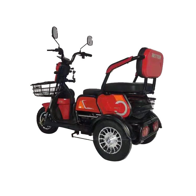 Electric Adult Tricycle Fatbike from China Ebike Max Motorcycle Custom Magnet Body Steel MOTOR Power Bicycle Wheel Brake Cargo