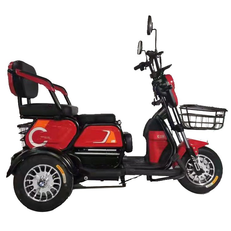 Electric Adult Tricycle Fatbike from China Ebike Max Motorcycle Custom Magnet Body Steel MOTOR Power Bicycle Wheel Brake Cargo