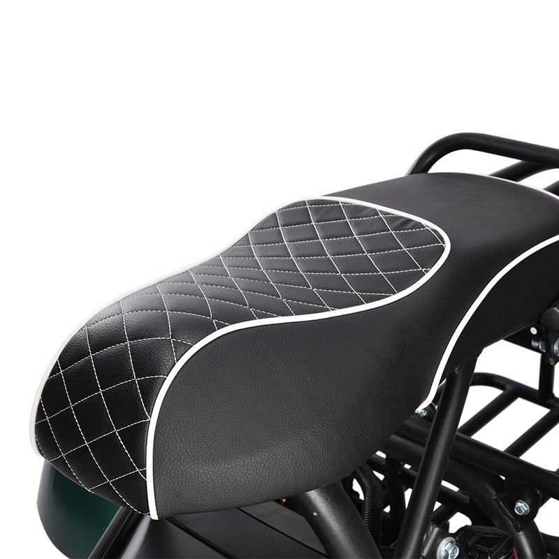 Hot Sale Lower Price 2024 New Design Quality Assurance 3 Wheel Electric Tricycle For Adult/Abroad Student