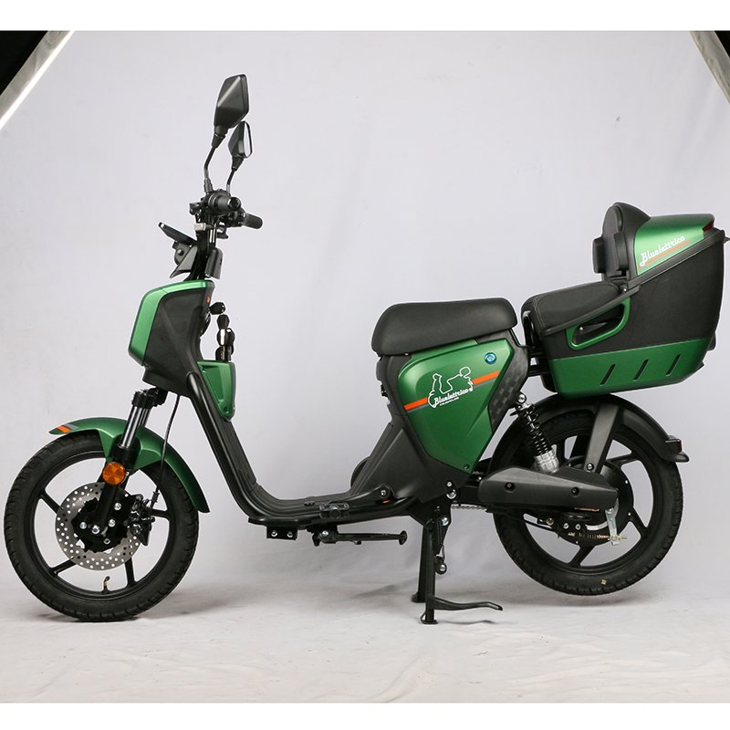 EEC certification EU road license and insurance free 48V 350w motor 13AH lithium battery e motorcycles electric scooter