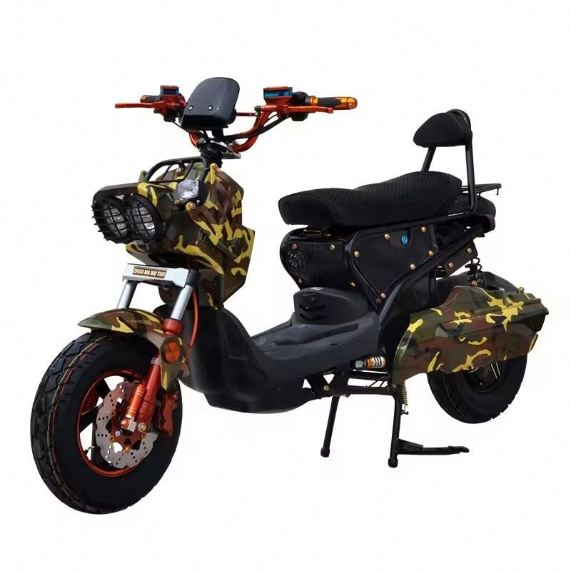 CHENLU Ebike Country Electric Moto Cross Brushless Motor Electrica Bike Adult Offroad Electric Motorcycle