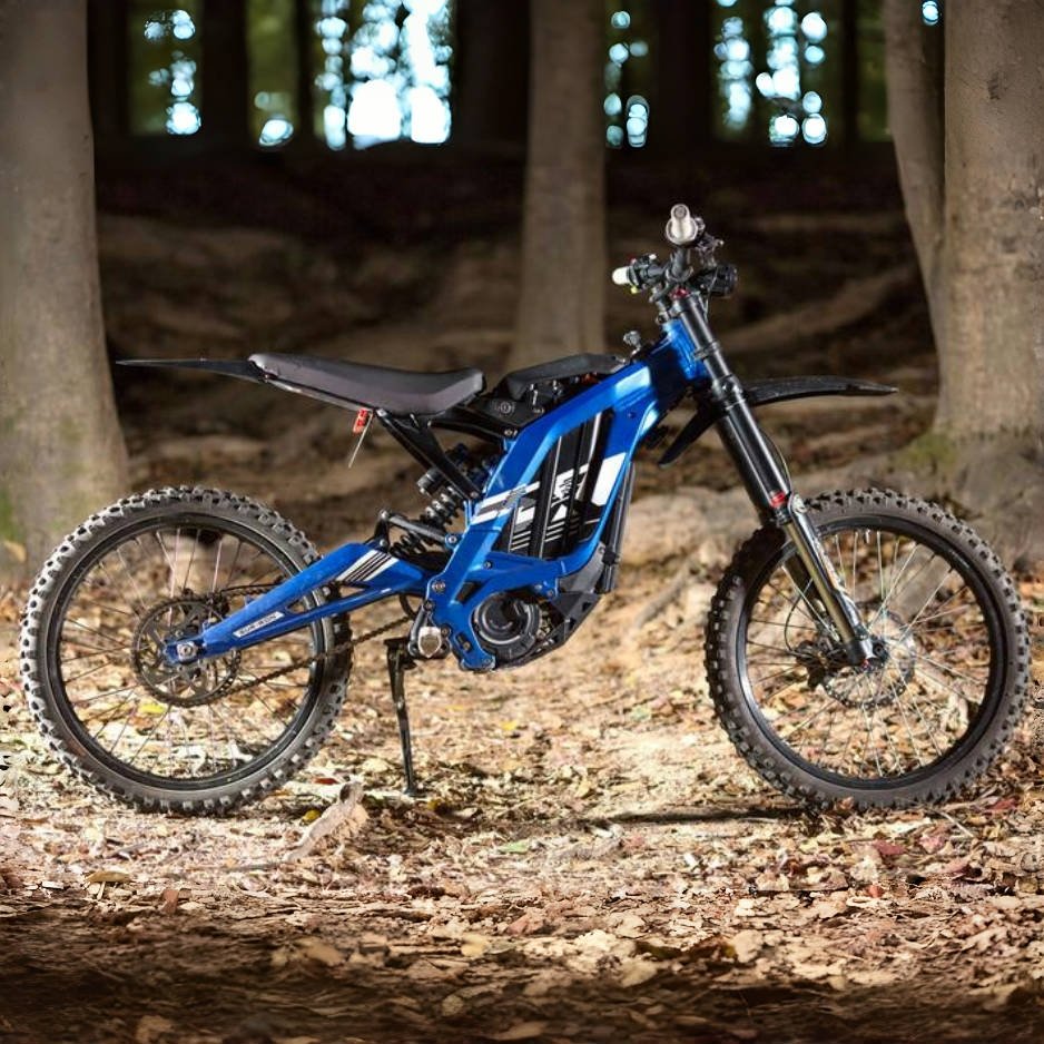 Electric Motorcycle Original LightBee X Powerful 6000w Dirt Ebike Adult Electric Bicycle